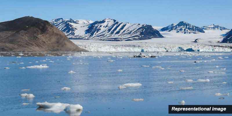 arctic