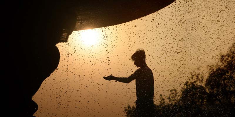 rain-13a