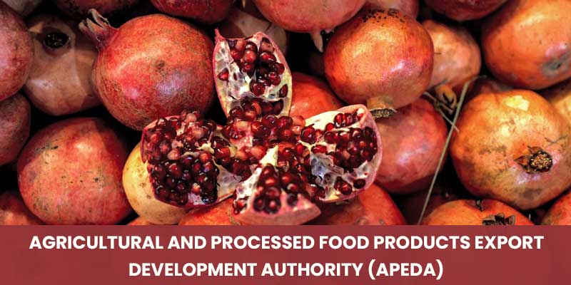 apeda
