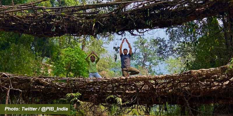 meghalaya-root-bridge-yoga