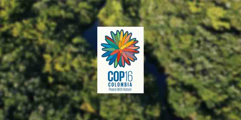 cop16