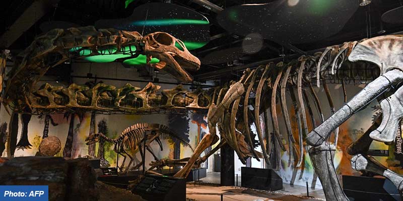 dinosaur