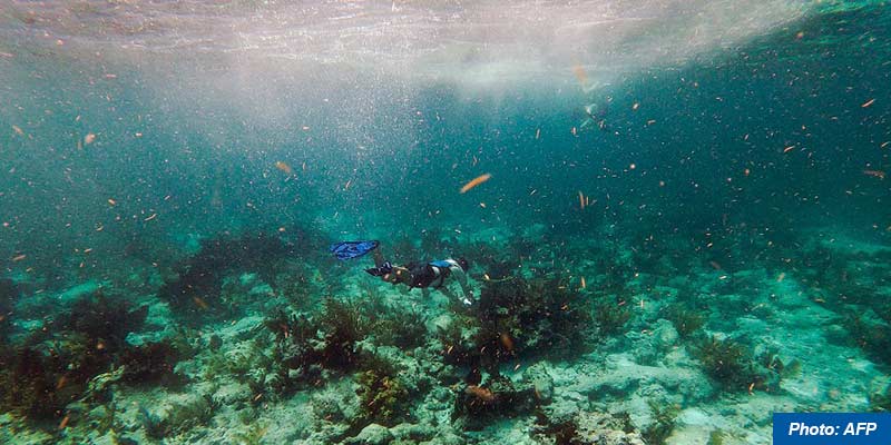 deep-ocean