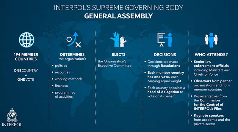 interpol-assembly-1