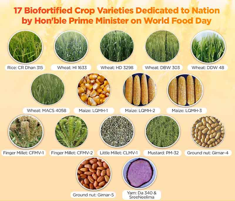 biofortified-varieties