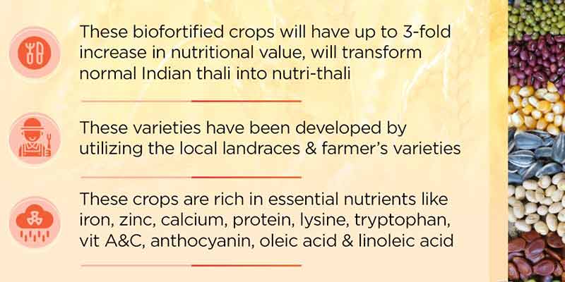 biofortified-varieties2
