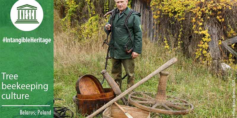 belarus---tree-beekeeping