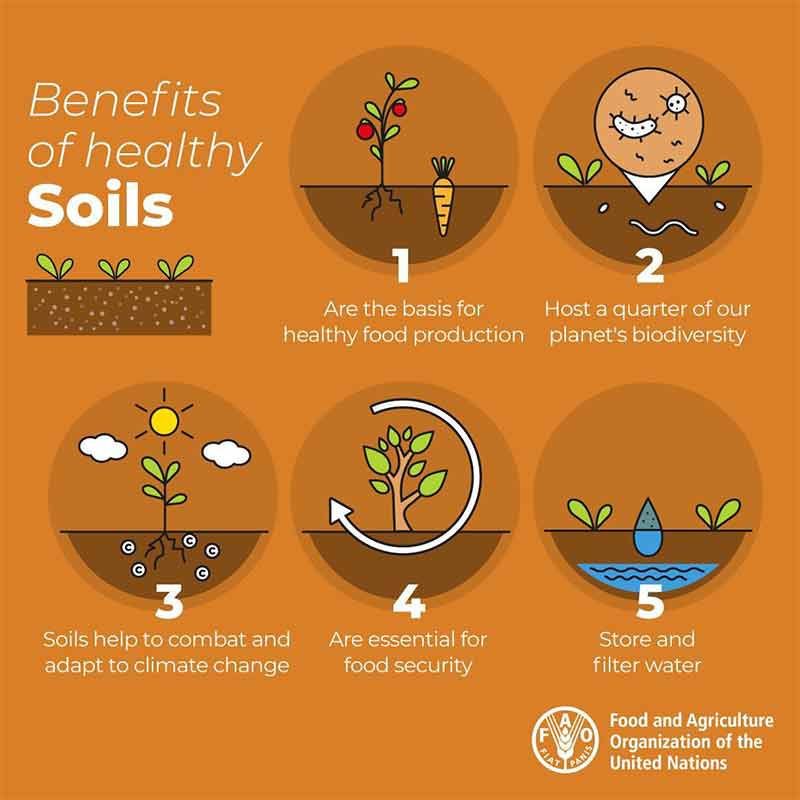 soil-benefits