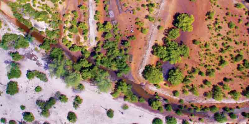 environment-day-image-2