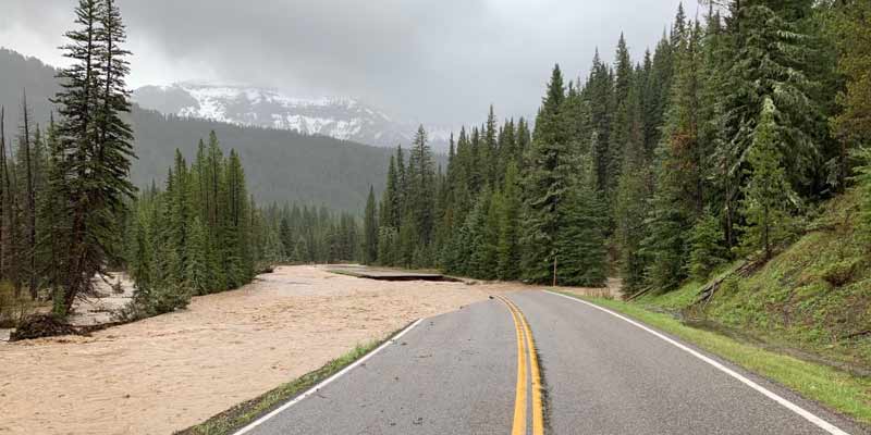yellowstone-4