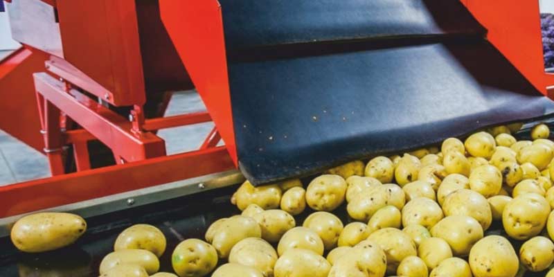 food-processing-6