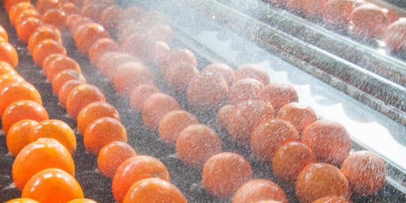 food-processing-7