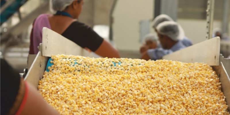 food-processing-8