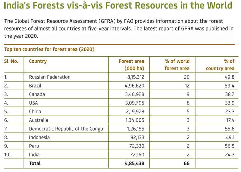 forest-table