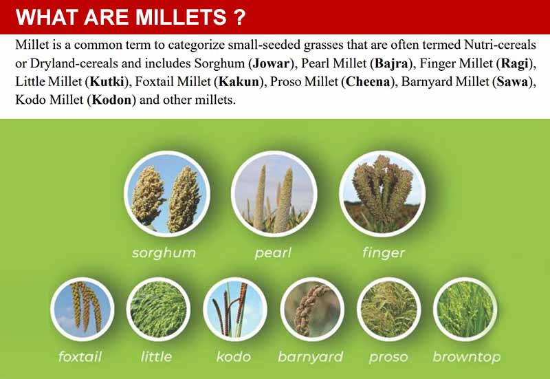 millets-c
