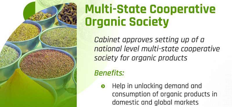 organic-society-3