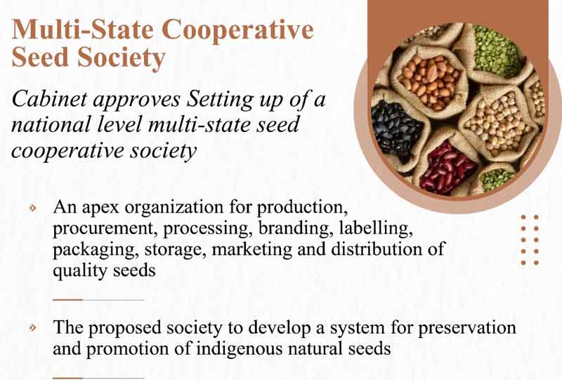 seed-society-5