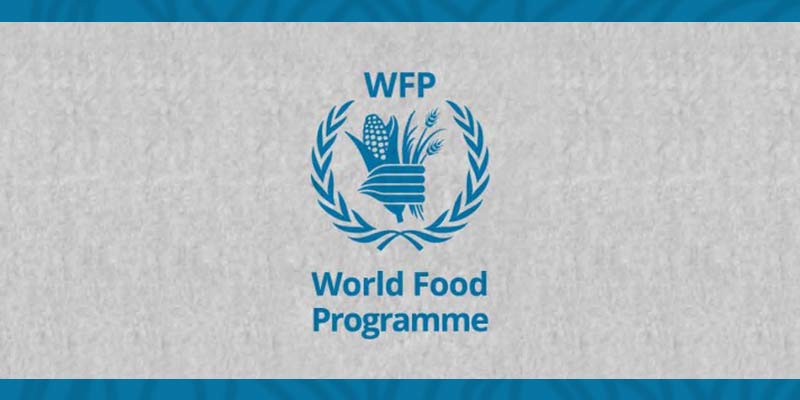 wfp