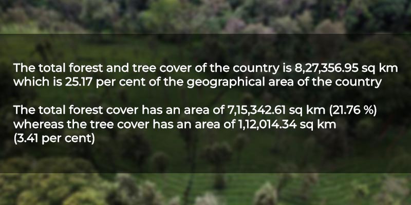 India’s forest and tree cover grows by 1,445 sq km