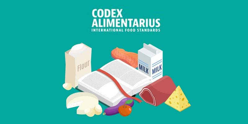 codex