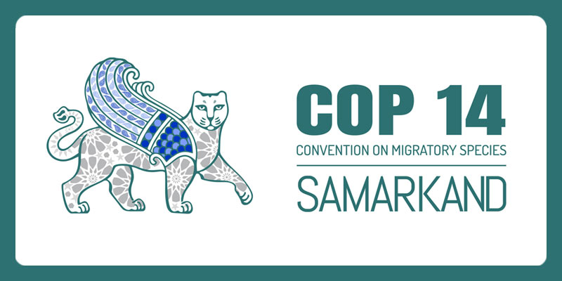 cop-14