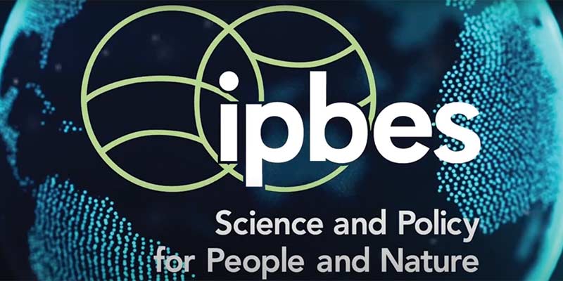ipbes-22