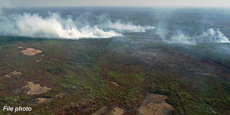 pantanal-26a