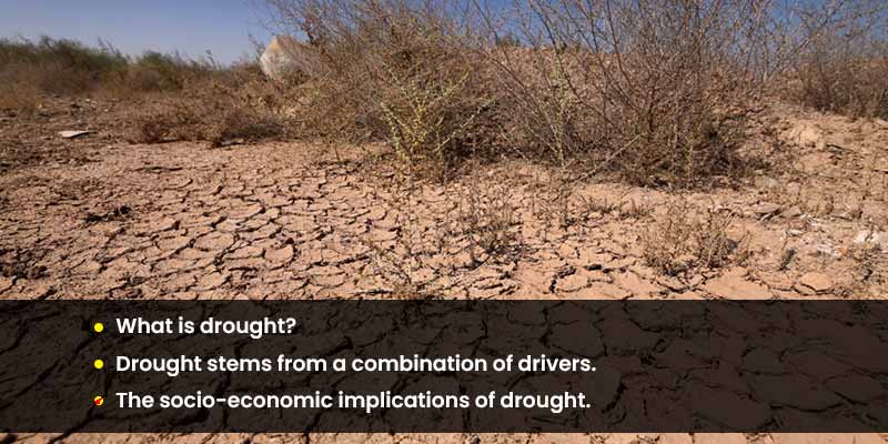 40% of the world’s land area faces frequent droughts