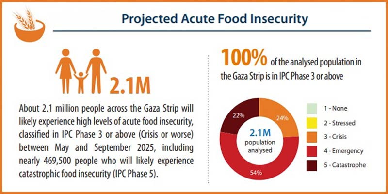 Risk of famine across all of Gaza, warns IPC