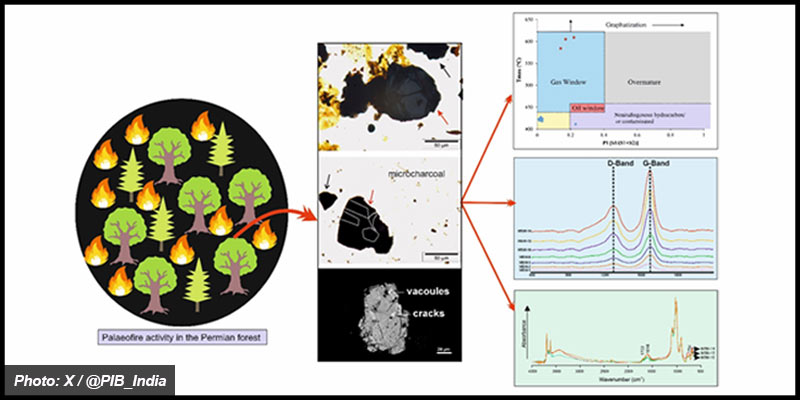 permian-in-godavari-basin