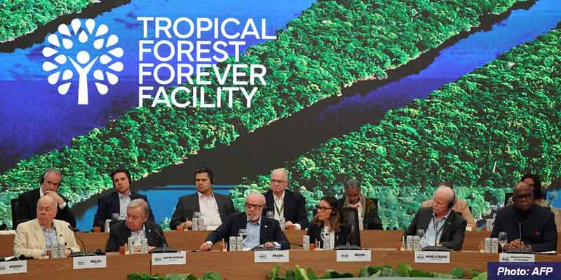 tropical-forest-forever-facility