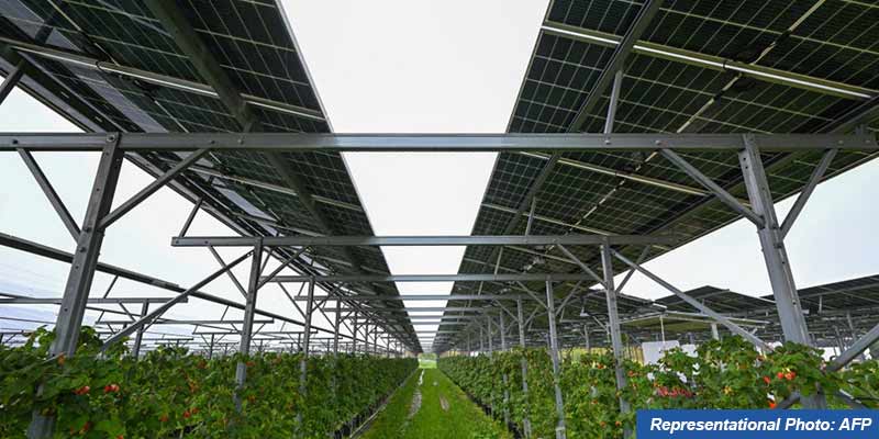 agrovoltaic-2-jpg
